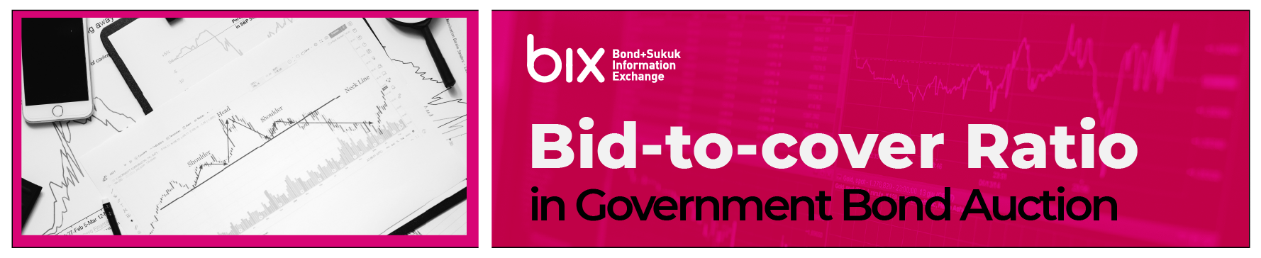 Bid-to-cover Ratio in Government Bond Auction