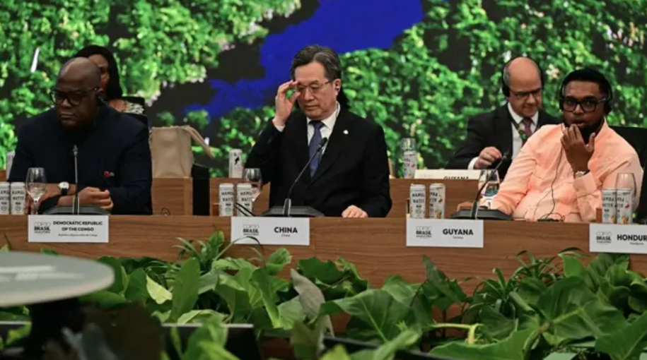 Why China is hesitant on global green leadership
