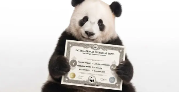 Tapping the panda bond opportunity