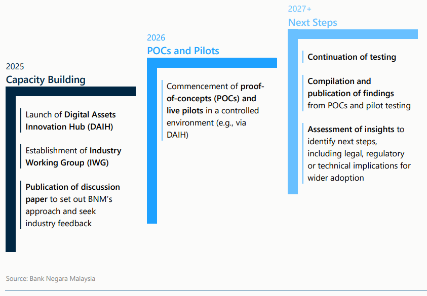 The roadmap laid out by Bank Negara Malaysia (page 12) The roadmap laid out by Bank Negara Malaysia (page 12)