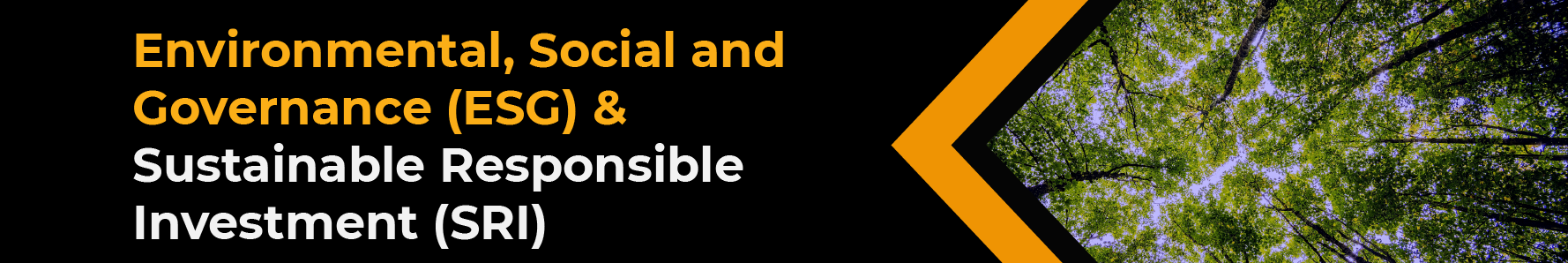 Environmental, Social and Governance (ESG) and Sustainable Responsible Investment (SRI)