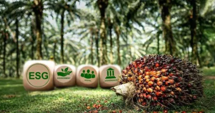 Plantation ESG: Clear claim, measured aim